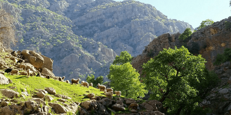 دشت شیمبار، این همه زیبایی در میان طبیعت